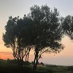 Il Nido Dei Gabbiani 3*