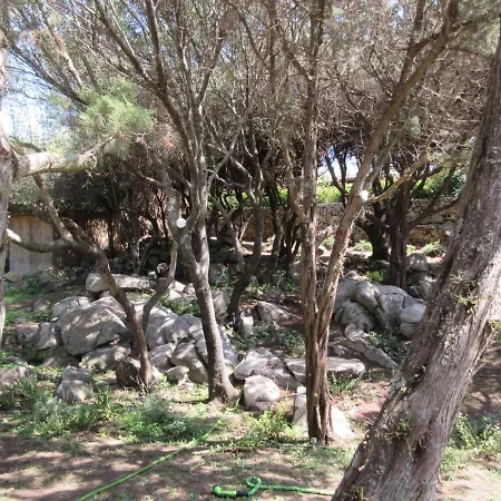 Il Nido Dei Gabbiani