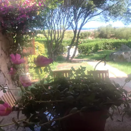 Il Nido Dei Gabbiani Hotel