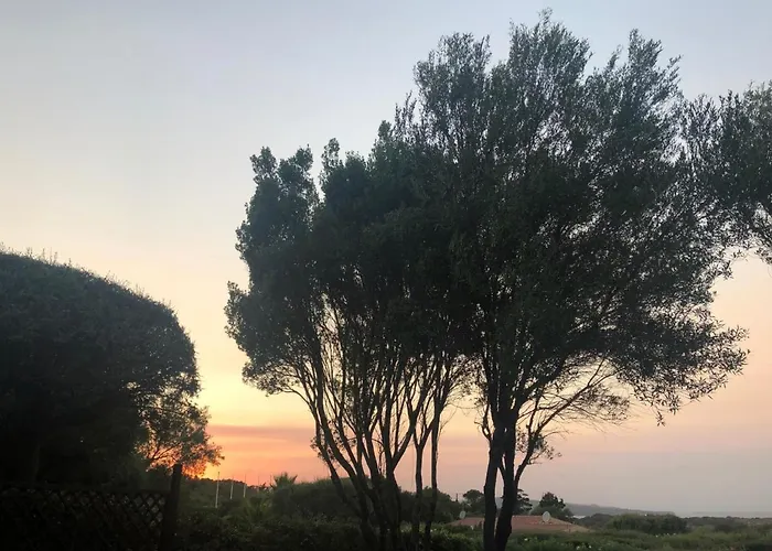 Il Nido Dei Gabbiani 3* Porto Pollo