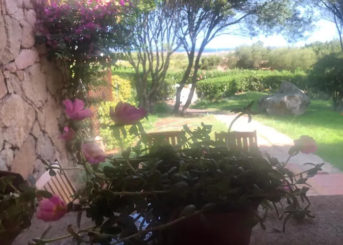 Il Nido Dei Gabbiani Hotel