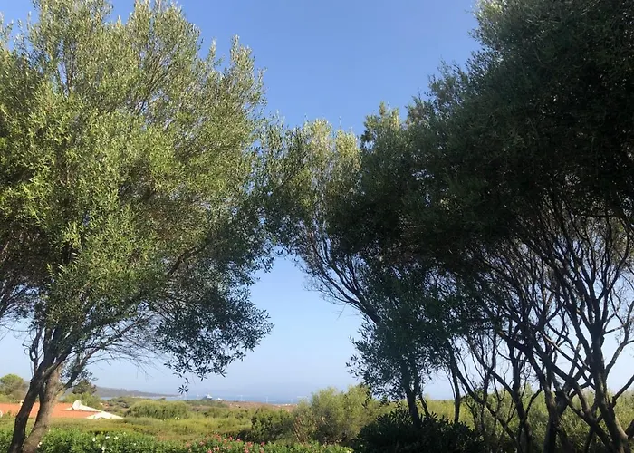 Il Nido Dei Gabbiani Hotel Porto Pollo